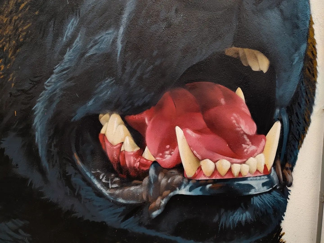 Trepo Parker @ Mexico City, Mexico