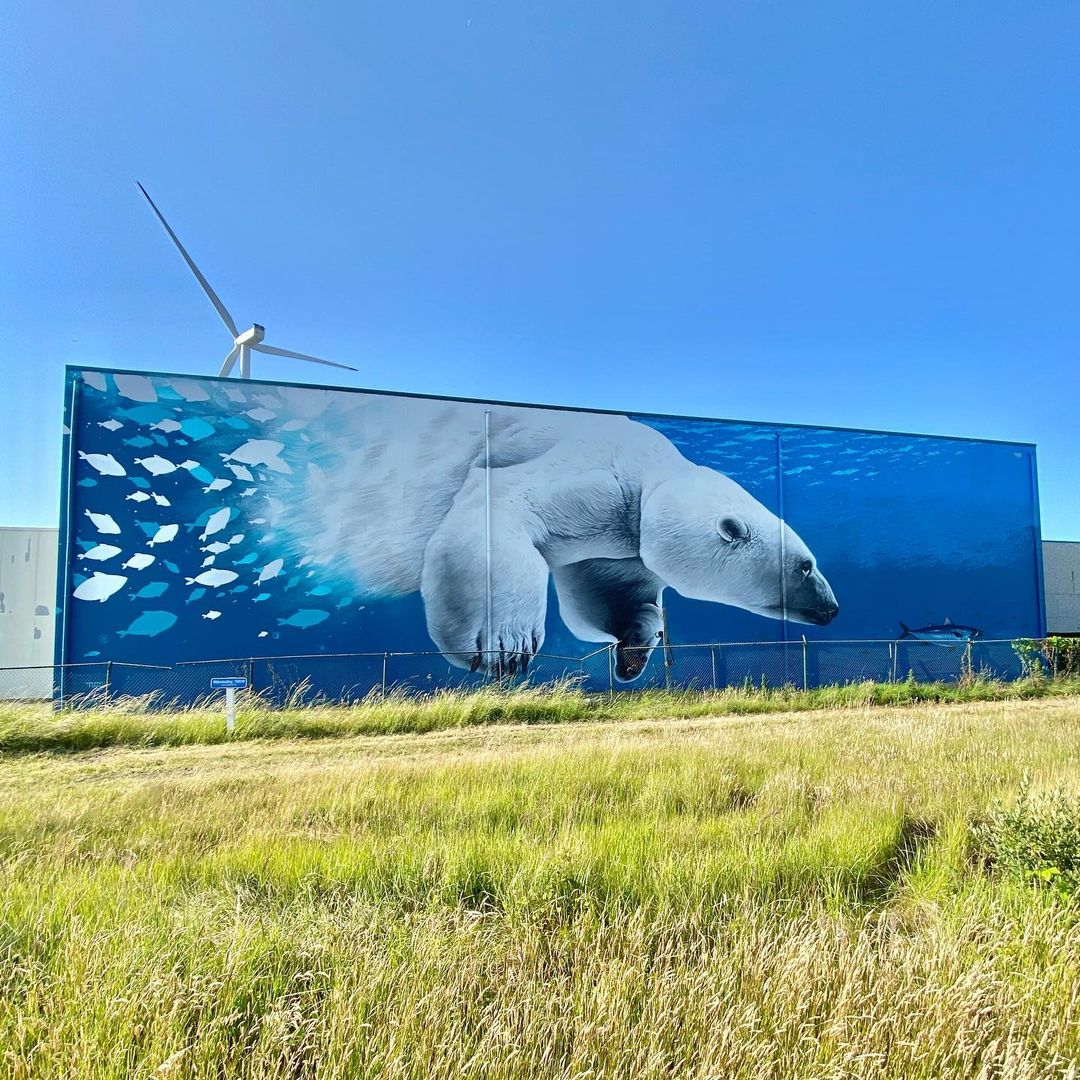 TUZQ @ Bruges, Belgium