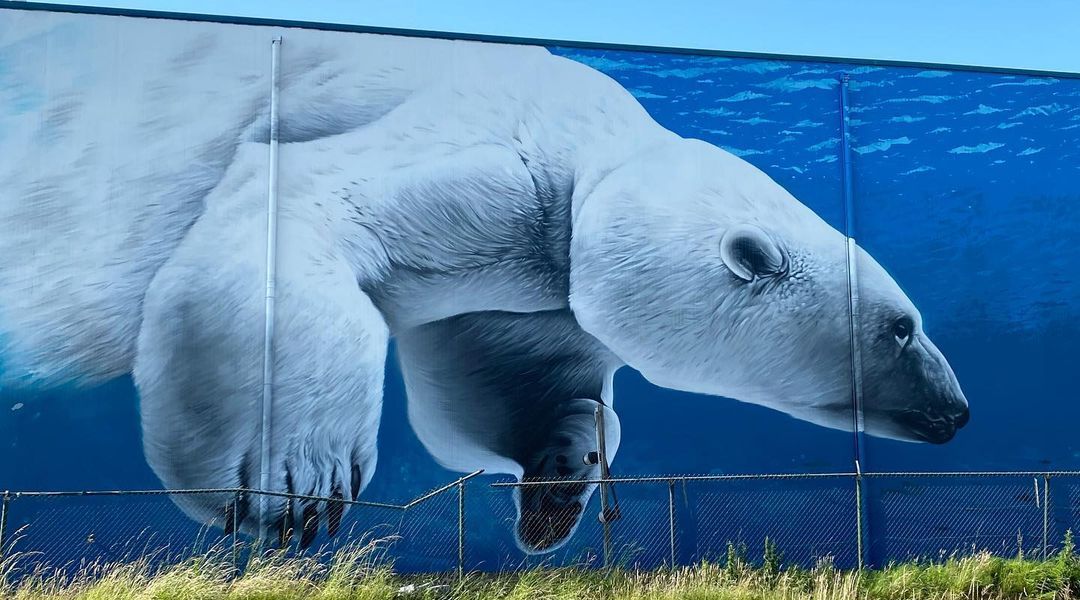 TUZQ @ Bruges, Belgium