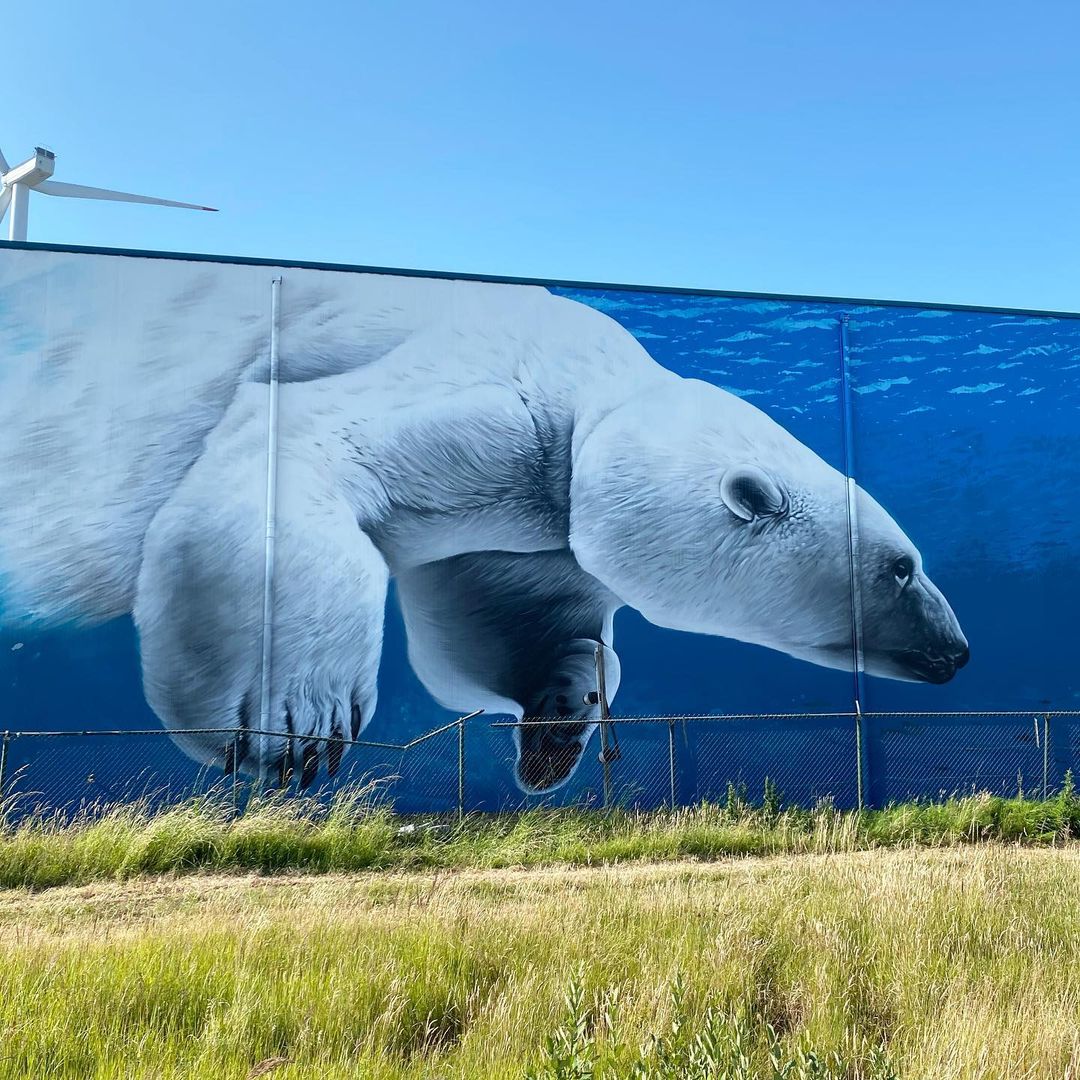 TUZQ @ Bruges, Belgium