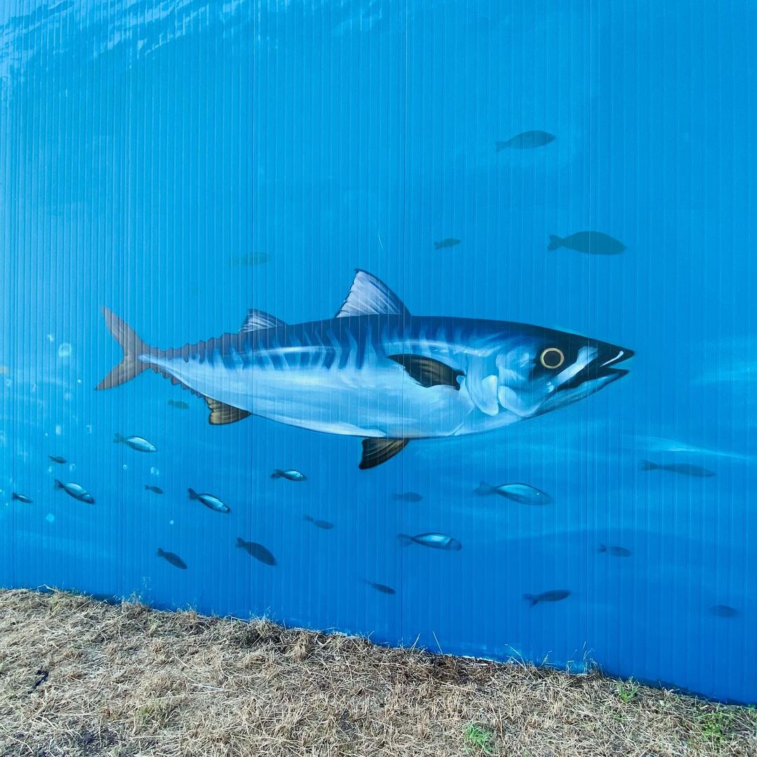 TUZQ @ Bruges, Belgium