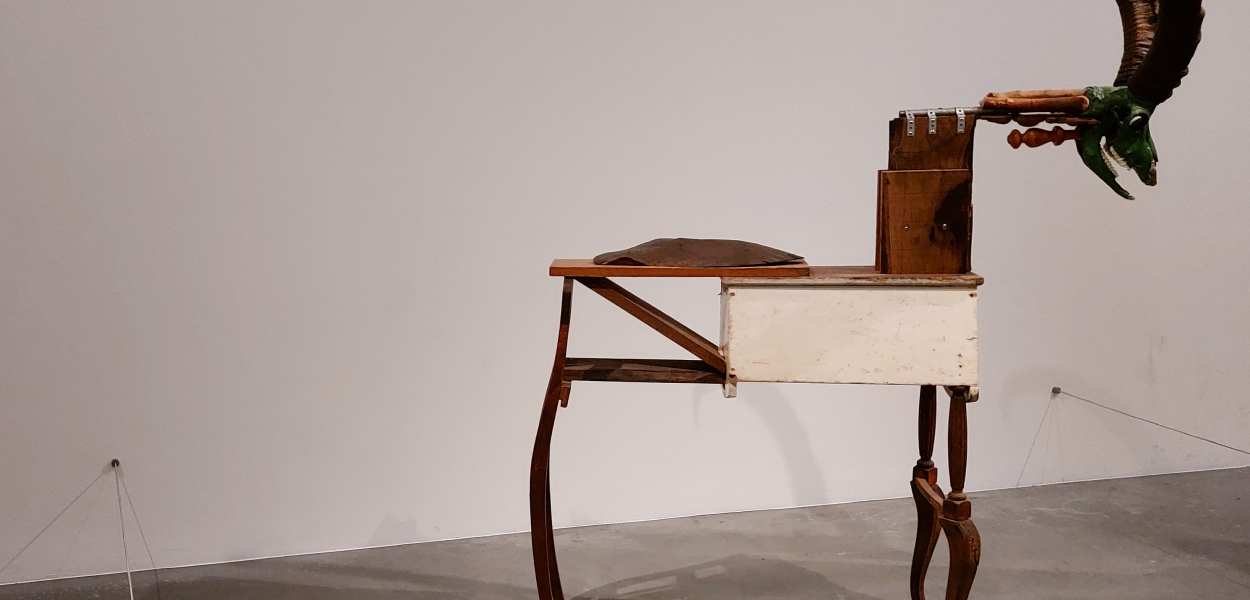 "Alpine Ibex" by Jimmie Durham