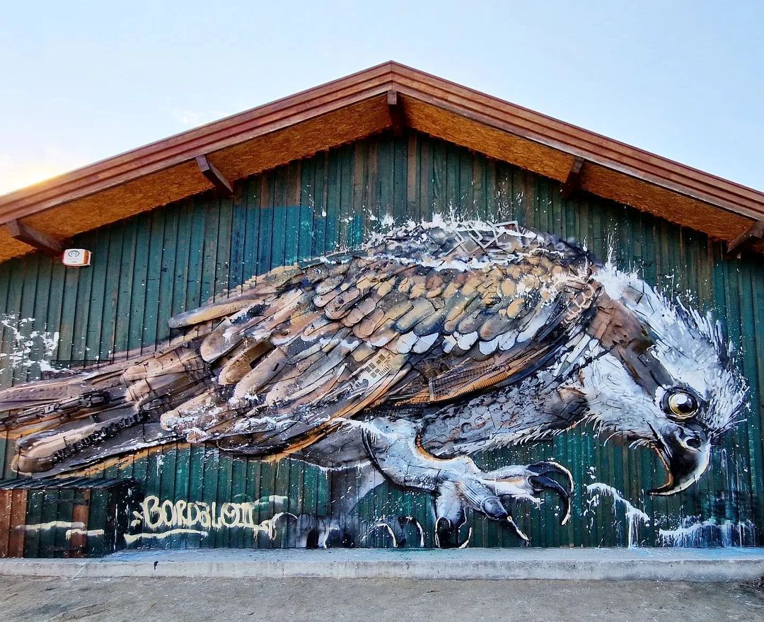 Bordalo II @ Pardilho, Portugal