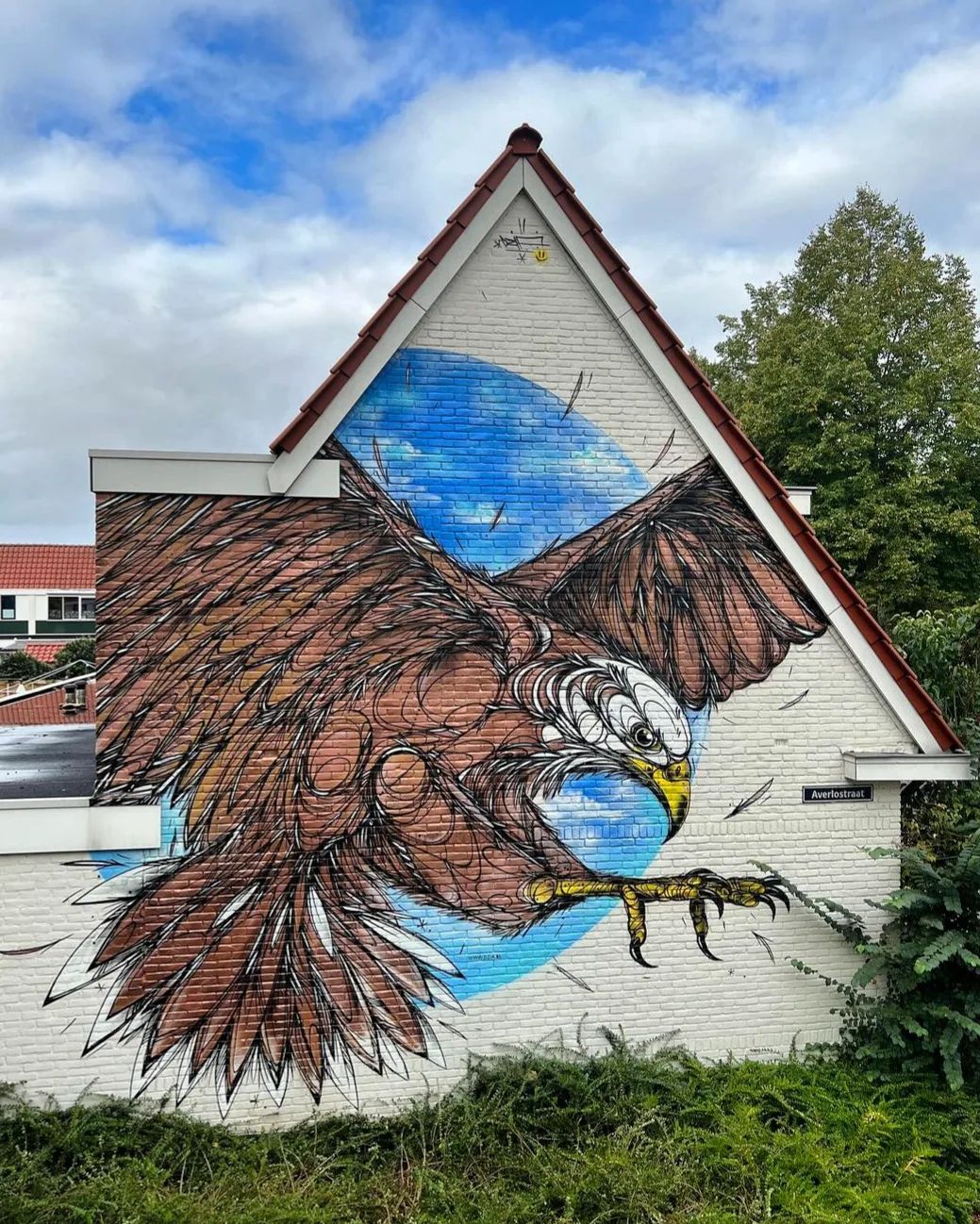 Dzia @ Deventer, Netherlands