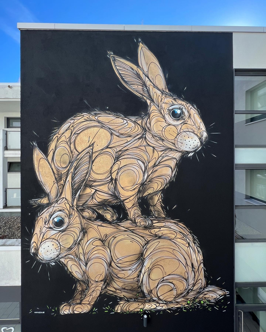 Dzia @ Hamburg, Germany