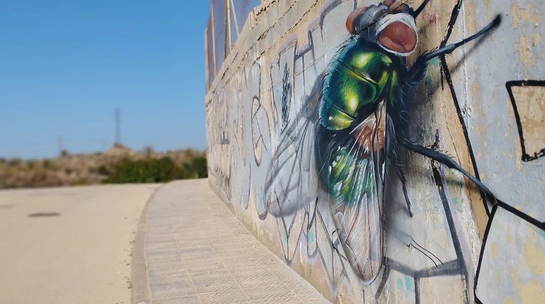 Lalone @ Benajarafe, Spain