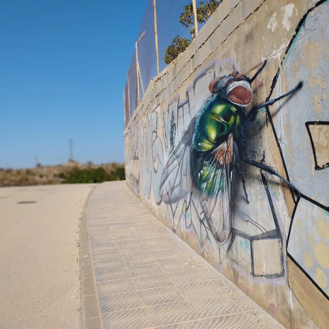 Lalone @ Benajarafe, Spain