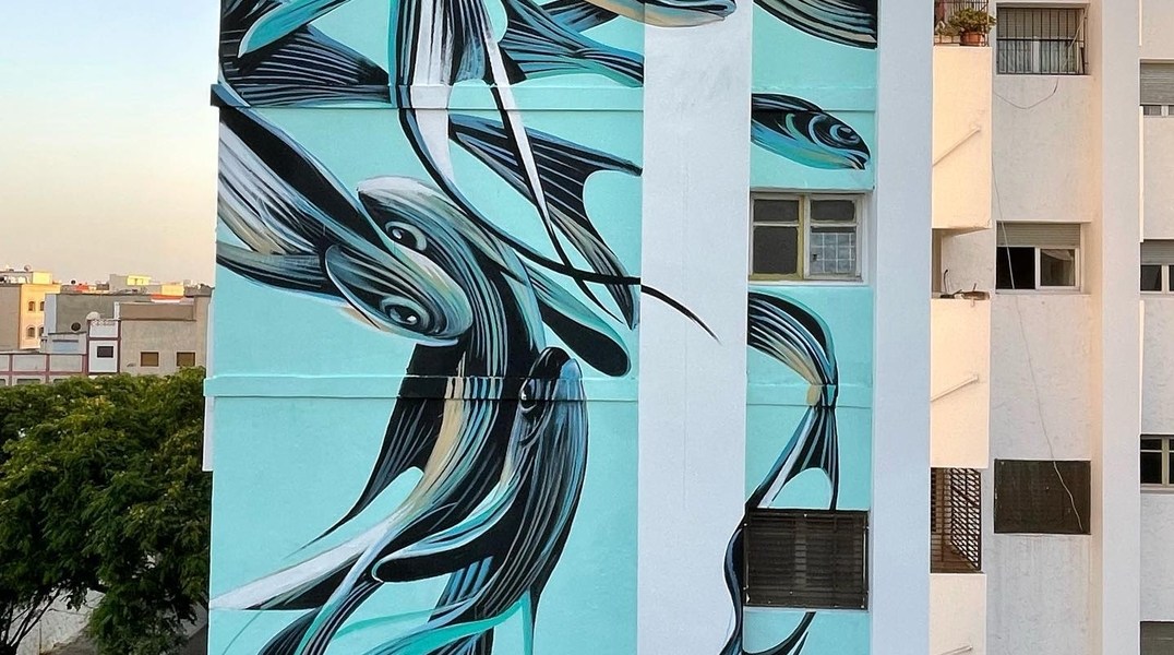 Pantonio @ Rabat, Morocco