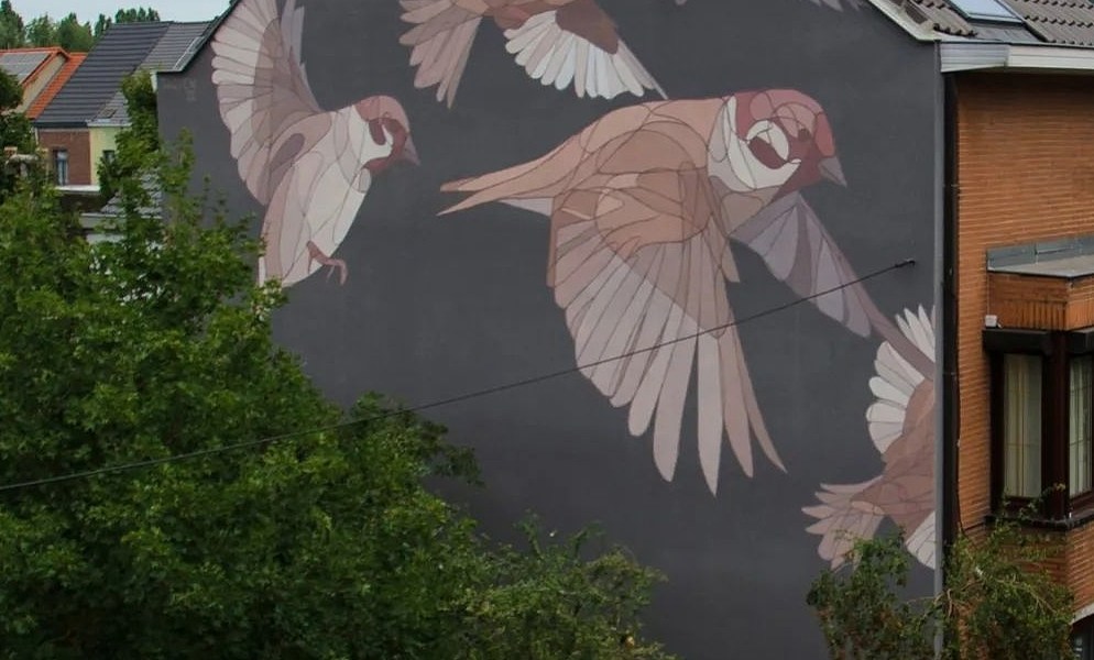 Taquen @ Ghent, Belgium