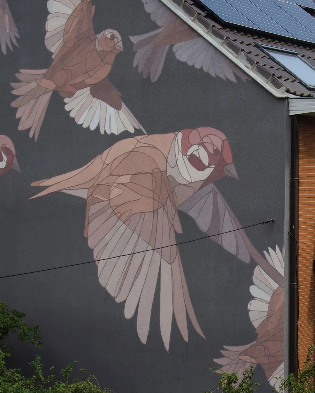 Taquen @ Ghent, Belgium