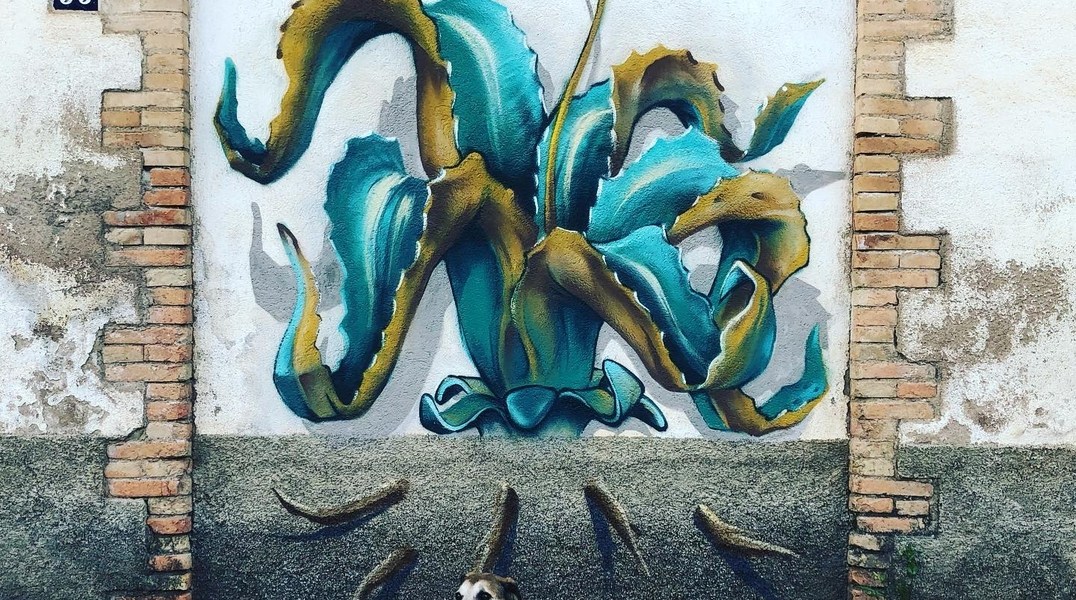 WERENS @ Monistrol De Calders, Spain