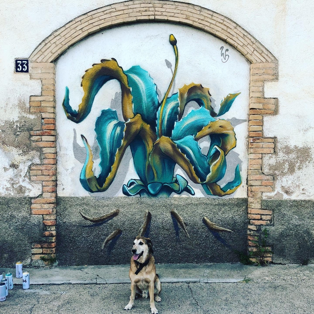 WERENS @ Monistrol De Calders, Spain