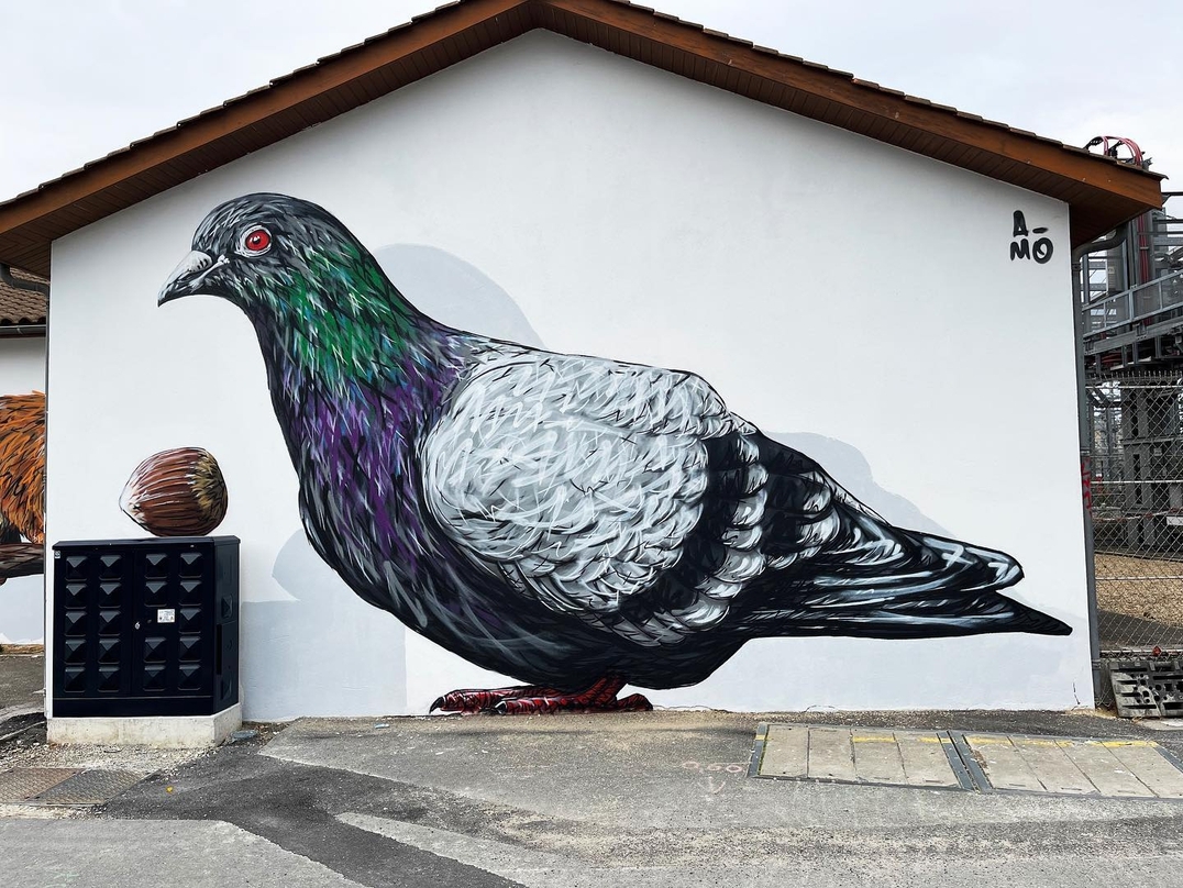 A-MO @ Bordeaux, France