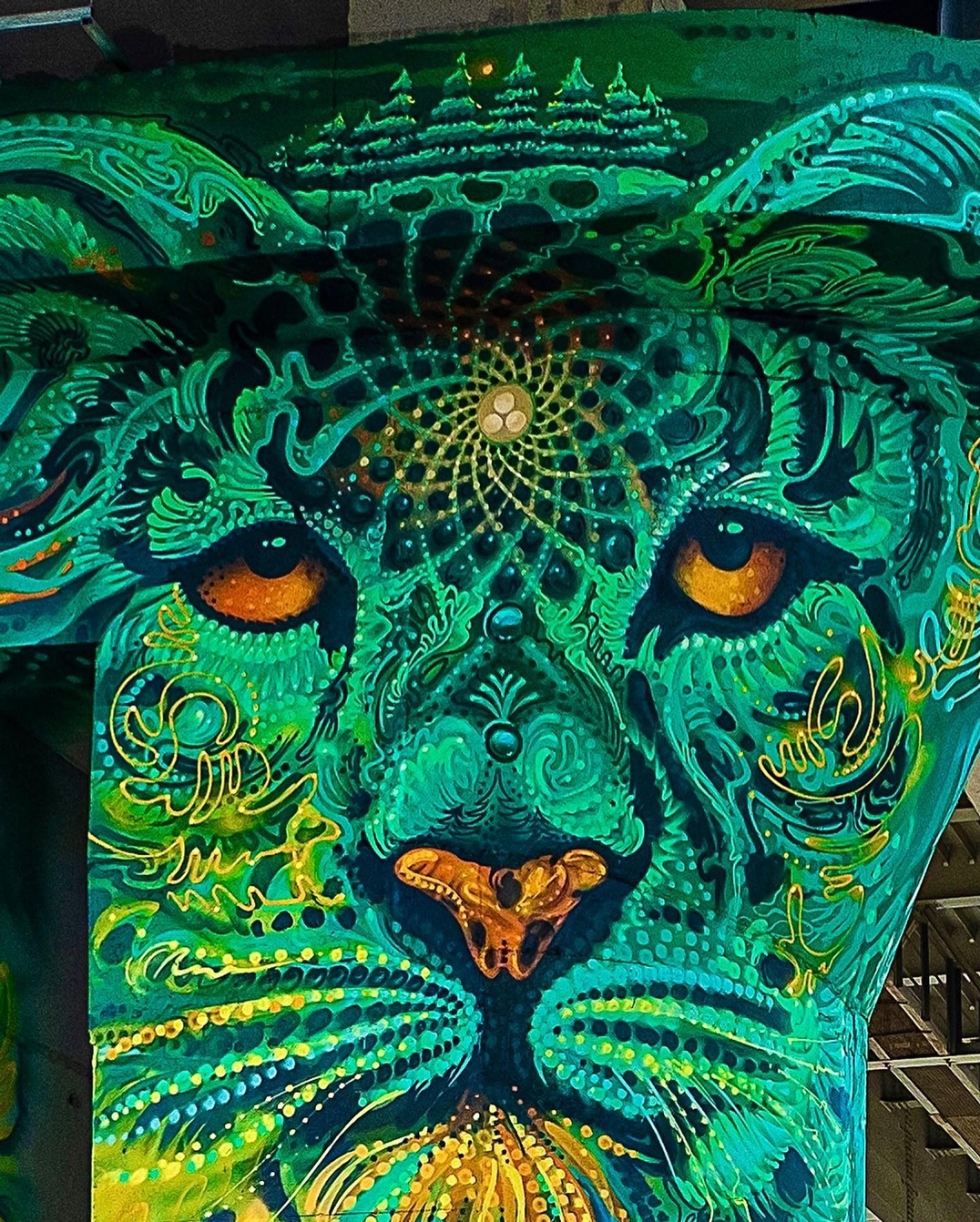 Bozik @ Kazan, Russia