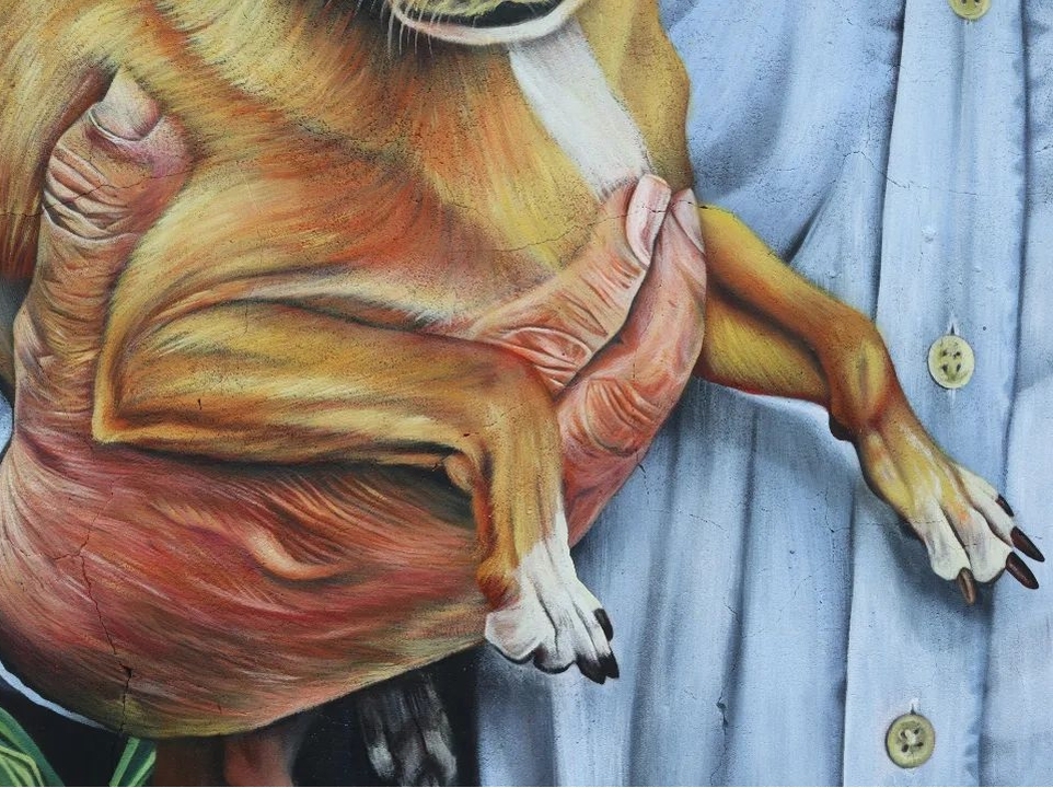 Carlos Arce Castaño @ Palmira, Colombia