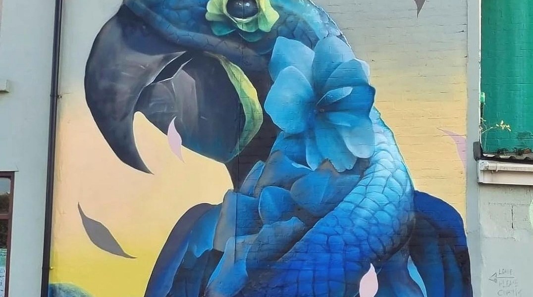 Curtis Hylton @ Swindon, UK