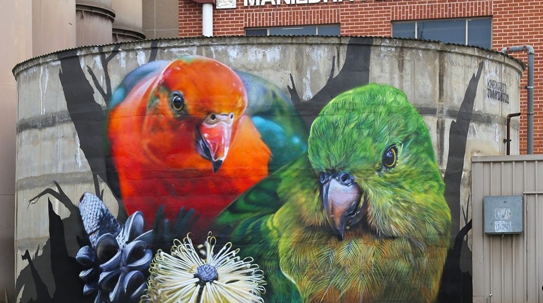 DVate @ Manildra, Australia