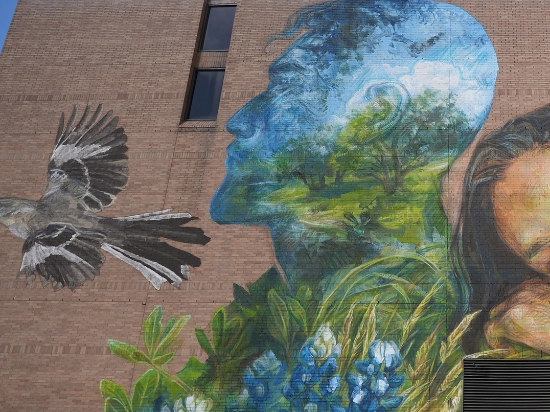 Emily Ding @ Houston, Texas, USA