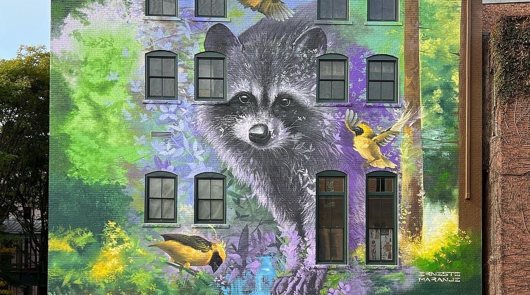 Ernesto Maranje @ Northampton, Massachusetts, USA