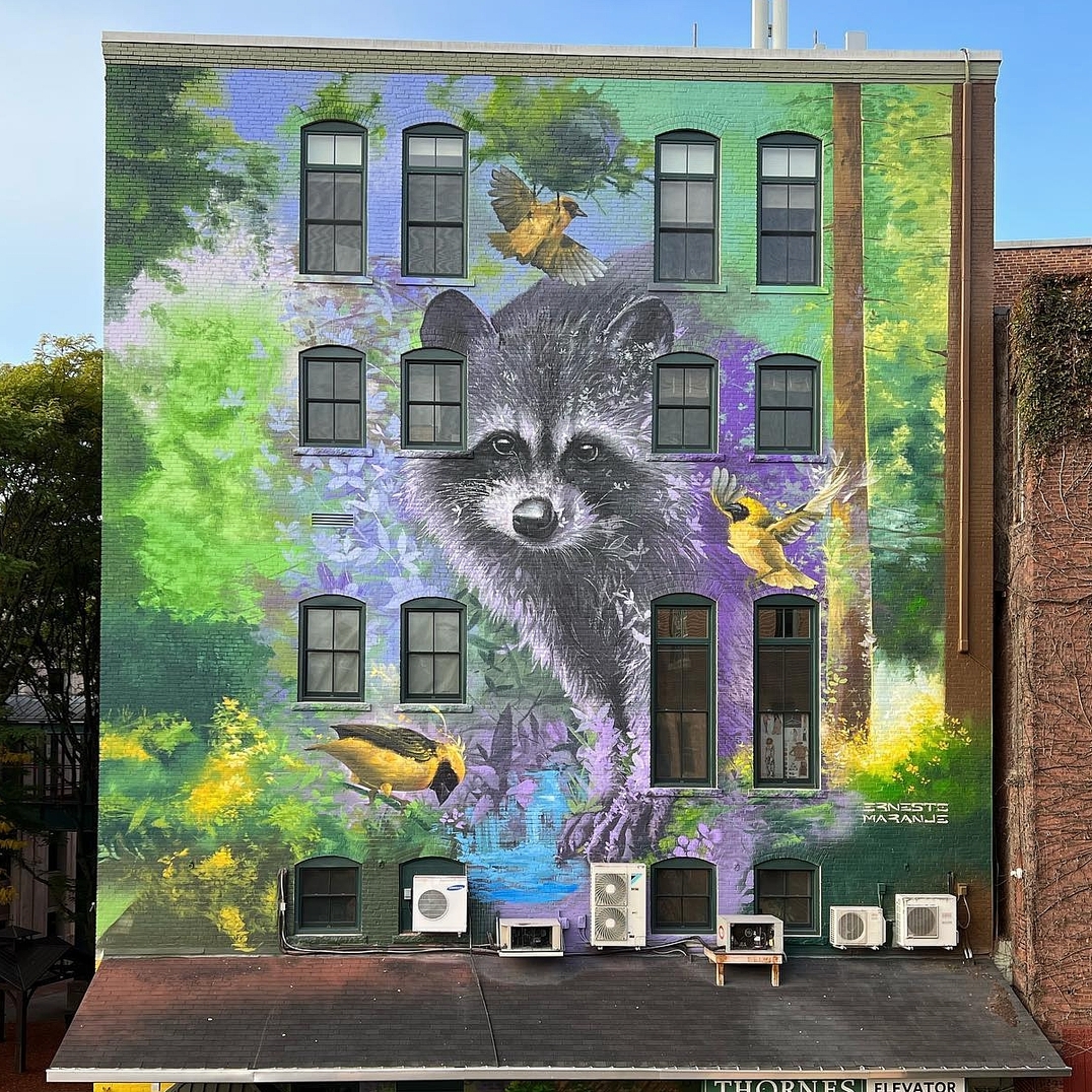 Ernesto Maranje @ Northampton, Massachusetts, USA