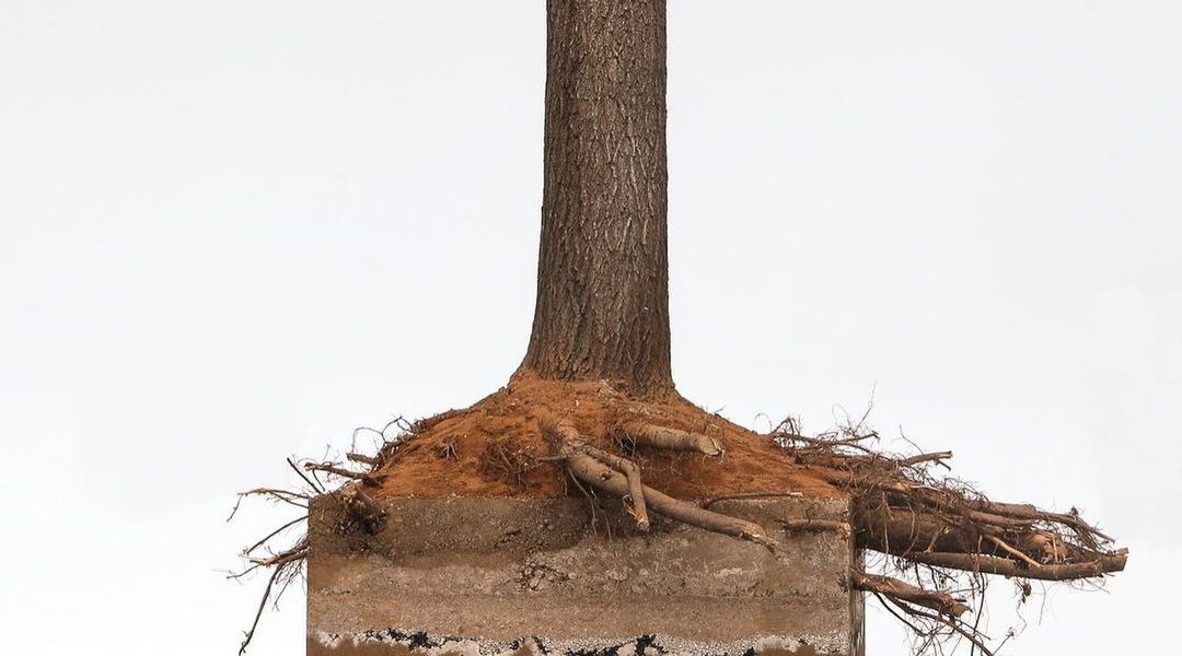 "Corporal Term" by Lee Kun-Yong