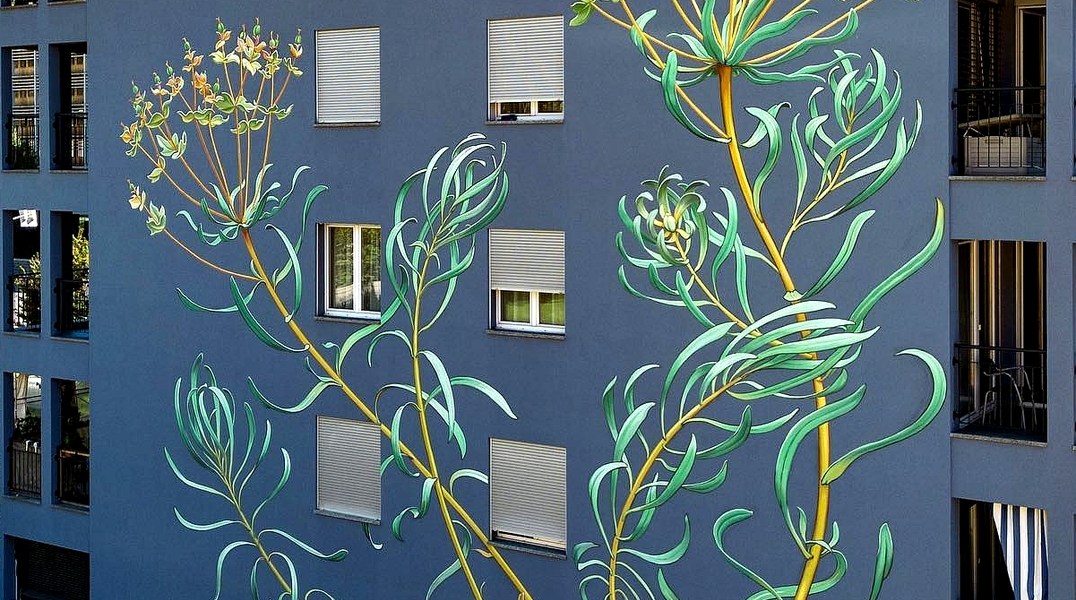 Mona Caron @ Bellinzona, Switzerland