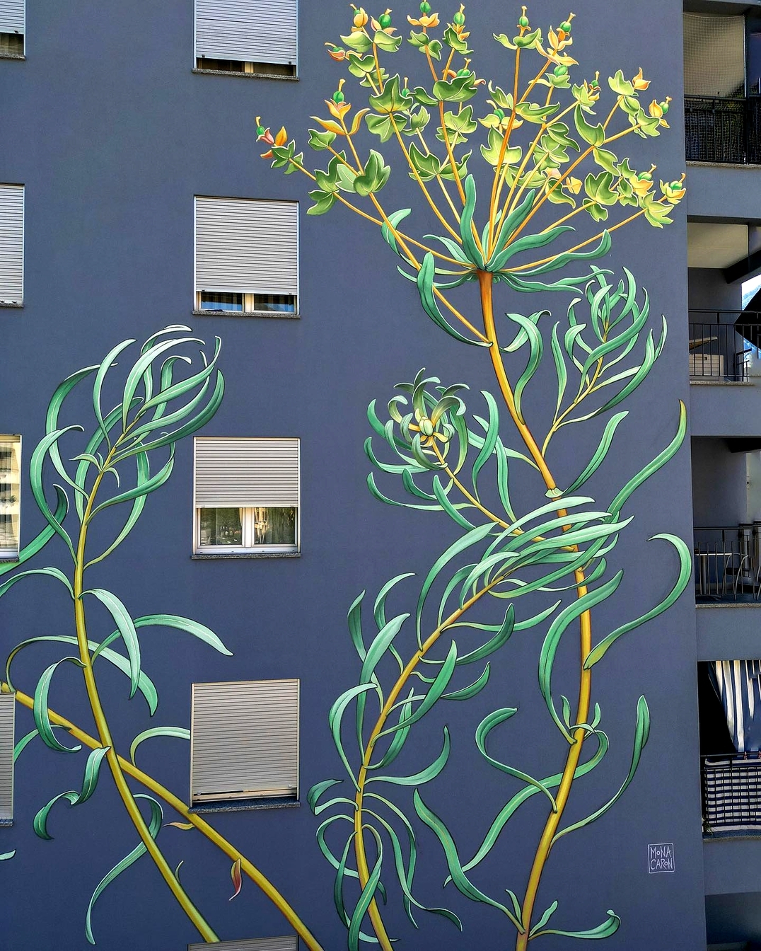 Mona Caron @ Bellinzona, Switzerland