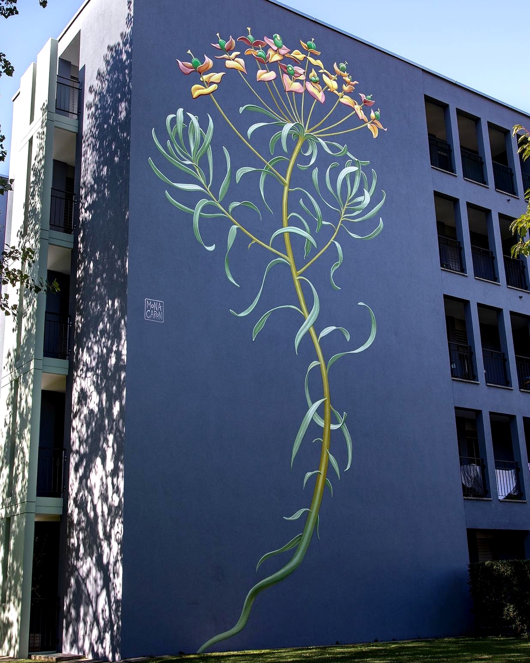 Mona Caron @ Bellinzona, Switzerland