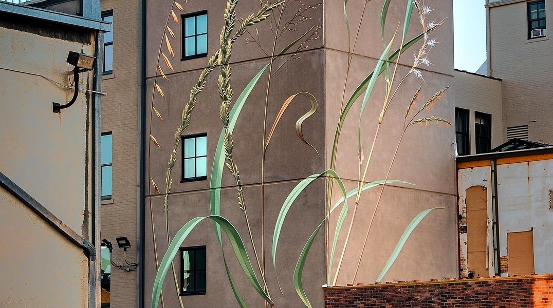 Mona Caron @ Salina, Kansas, USA