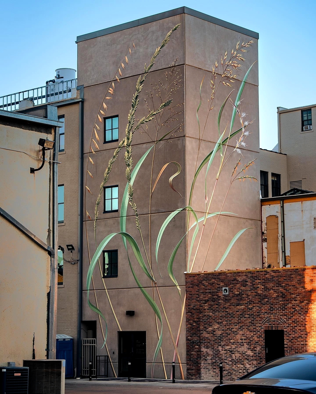 Mona Caron @ Salina, Kansas, USA