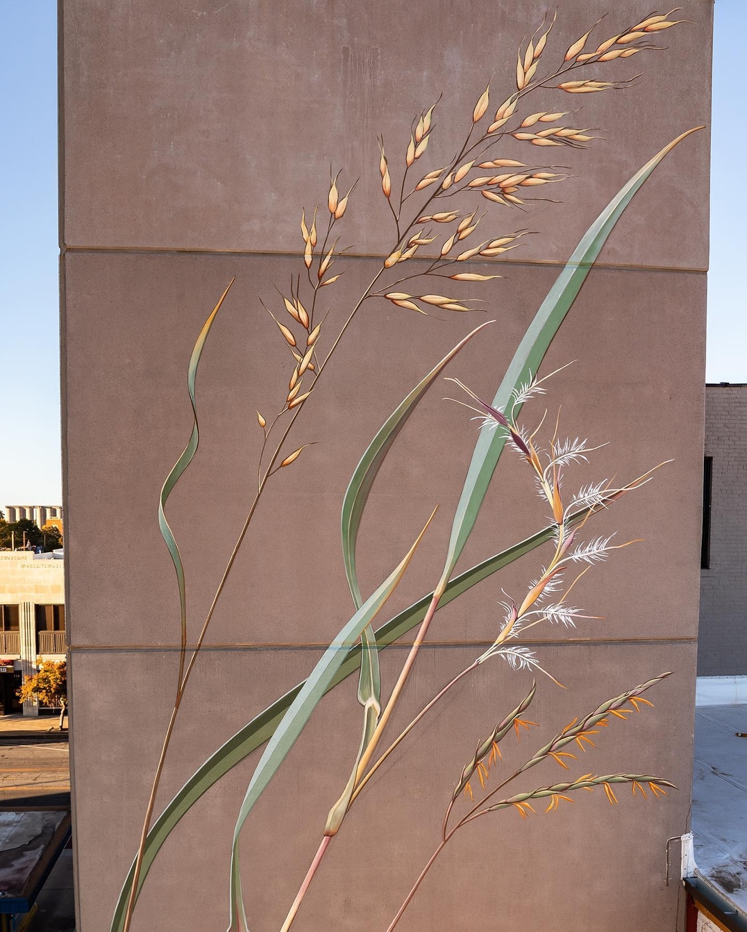 Mona Caron @ Salina, Kansas, USA