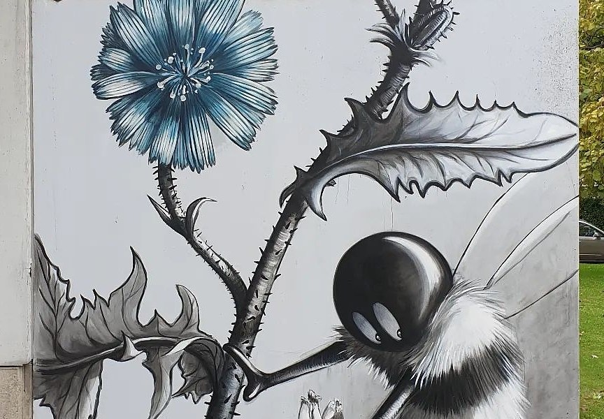 MRBEE @ Brussels, Belgium