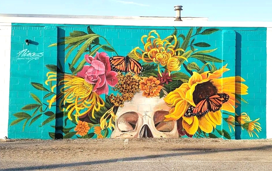 Nico Cathcart @ Memphis, Tennessee, USA