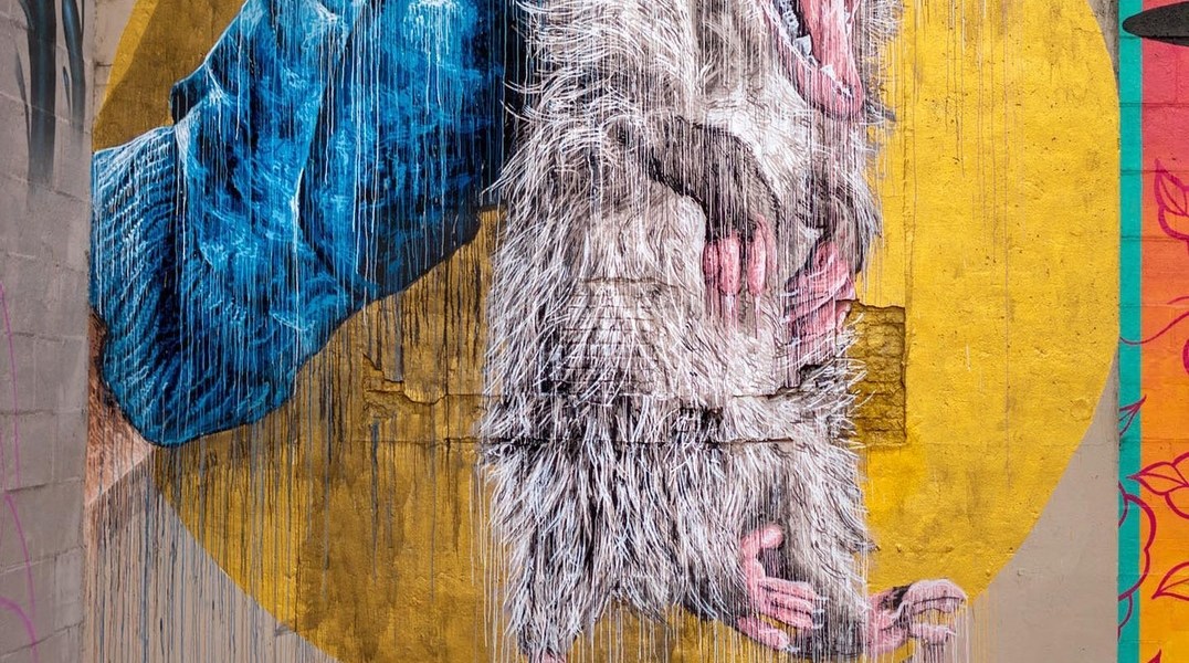 Nils Westergard @ Richmond, Virginia, USA