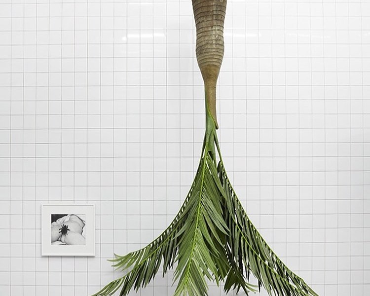 "A Cosmos" by Rosemarie Trockel