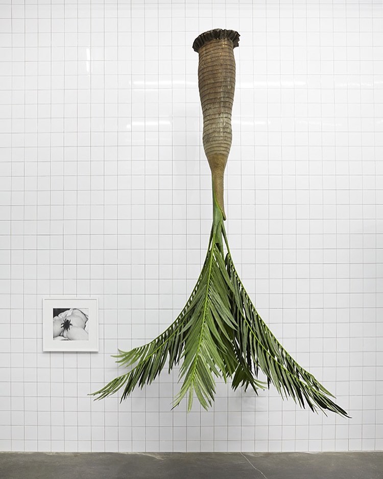 "A Cosmos" by Rosemarie Trockel