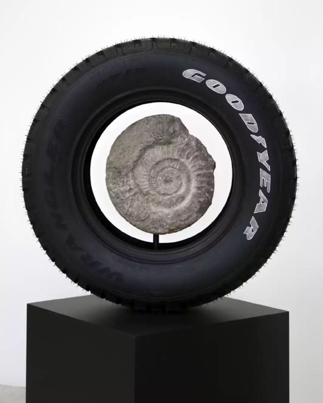 "Memento Mori (Ammonite)" by Théo Mercier