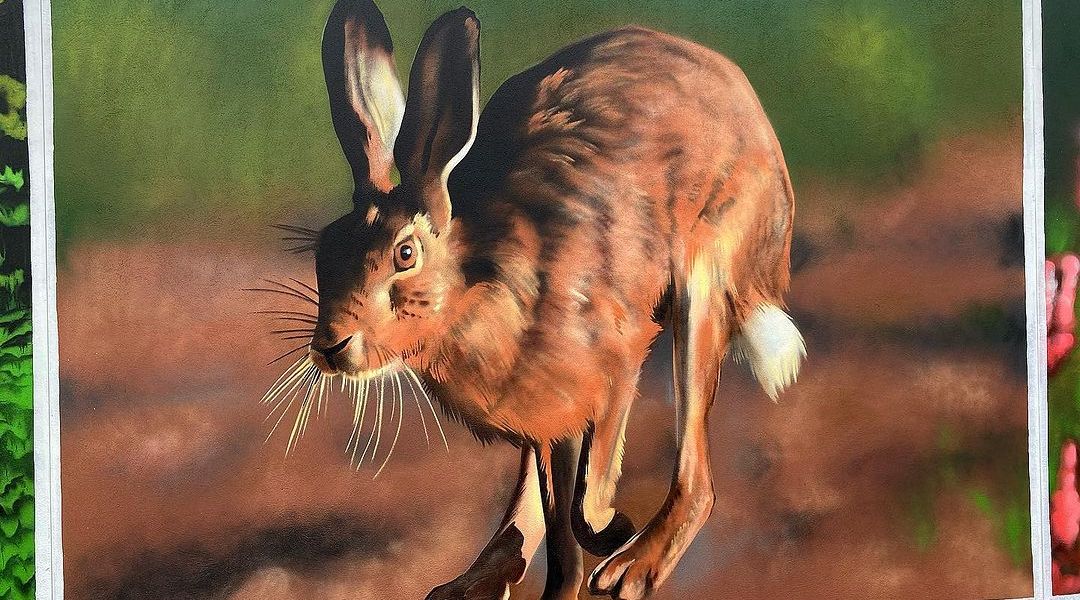 Andrii Palval @ Killarney National Park, Ireland