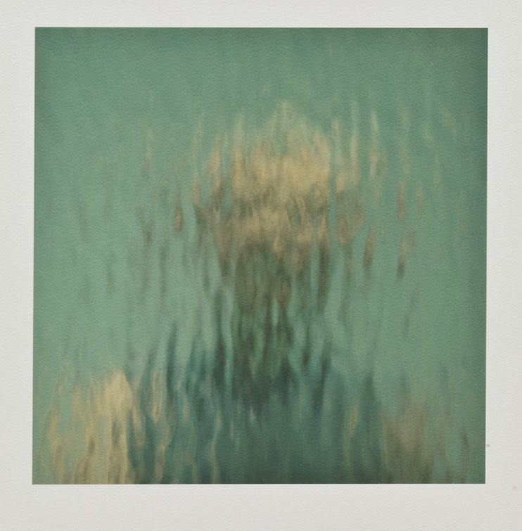 "Flectere" by Ann Hamilton