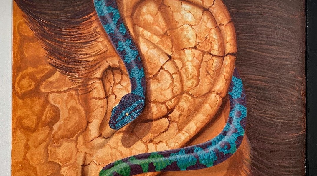 Bless @ Puyo, Ecuador