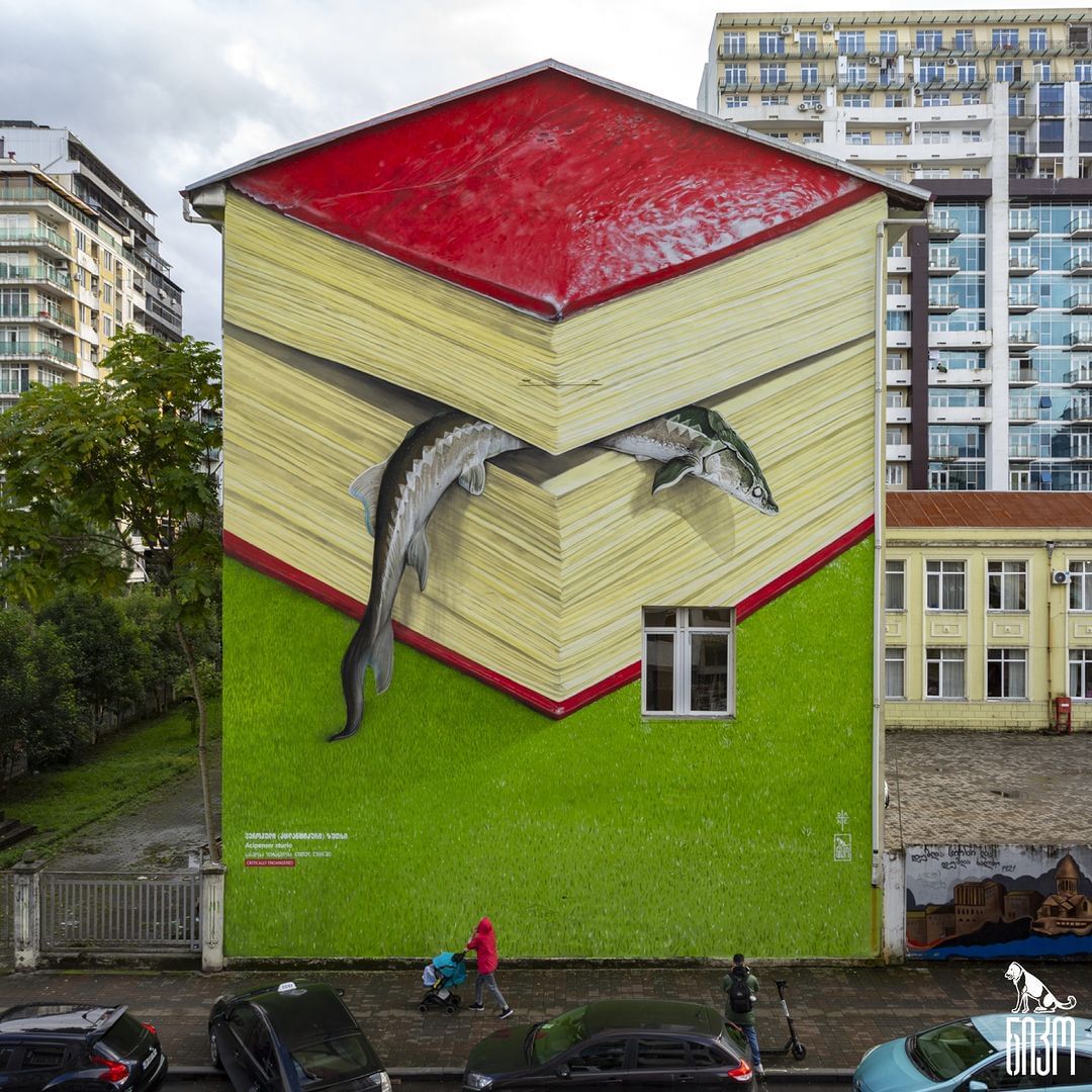 Dante Mdante @ Batumi, Georgia