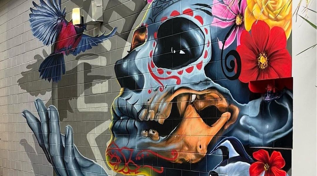 Dcypher @ Christchurch, New Zealand