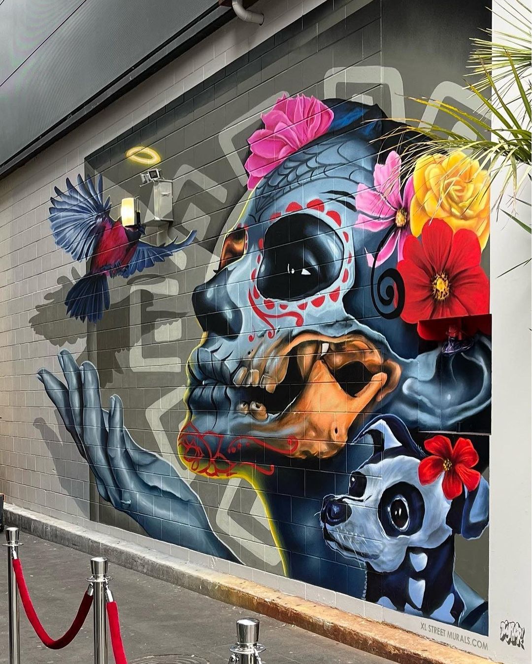 Dcypher @ Christchurch, New Zealand Dcypher @ Christchurch, New Zealand