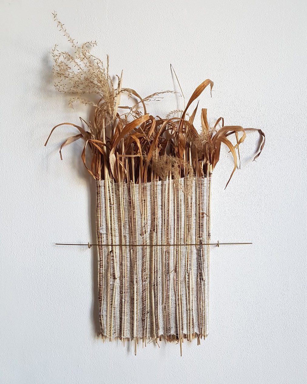 "Courte paille" by Elise Peroi