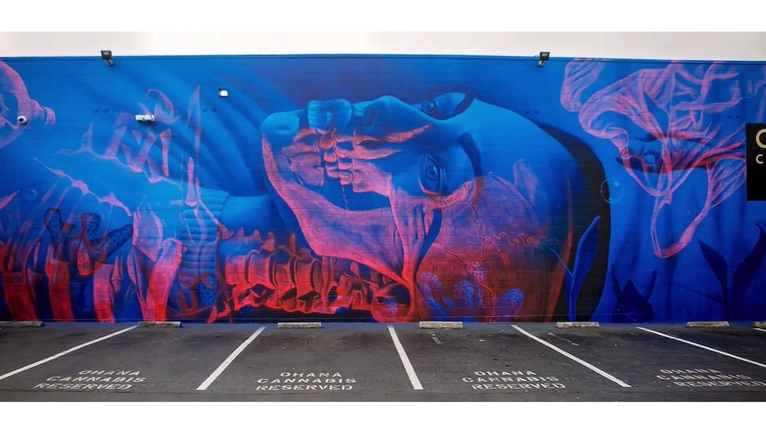 Insane51 @ Emeryville, California, USA