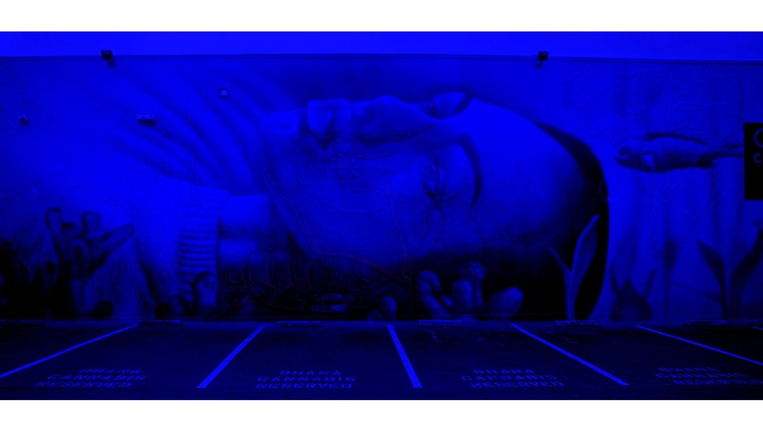 Insane51 @ Emeryville, California, USA