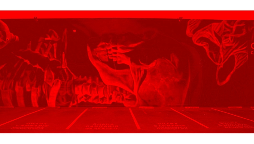 Insane51 @ Emeryville, California, USA