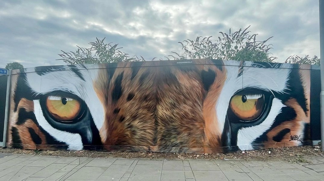 Gnasher @ Northampton, UK