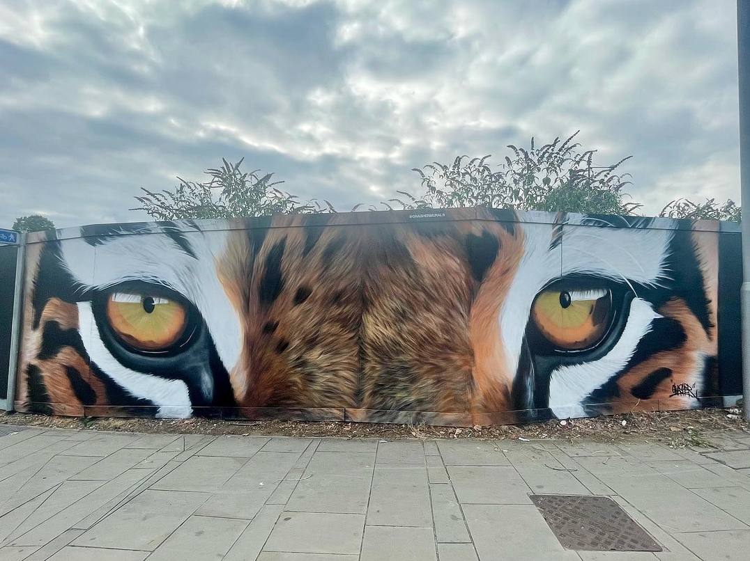 Gnasher @ Northampton, UK