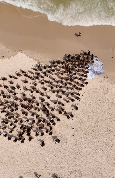 Nika Shakarami by JR